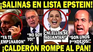 Salinas en lista Epstein Calder&oacute;n Rompe con el PAN