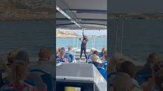 🚤💥 Discover Dolphin and Whale Watching in Fuerteventura with Magic Dolphin. #dolphins #tour