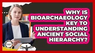 Why Is Bioarchaeology Key To Understanding Ancient Social Hierarchy? - Anthropology Insights