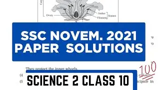 SSC MAHARASHTRA BOARD 10TH SCIENCE 2 PAPER SOLUTION  NOV 2021 || MH BOARD || #mauryaeducation