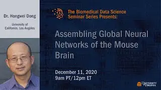 Assembling Global Neural Networks of the Mouse Brain