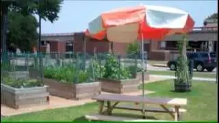 Norman Brinker Community Garden