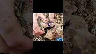 Gem stones from the canyon, amethyst and veined agate. diamonds and gold