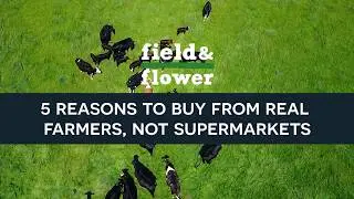 5 reasons to buy from real farmers, not supermarkets  | field&flower