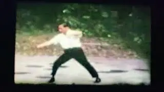 Master Chen Zhenyi Performing Bengbuquan (陳震儀打崩步拳/七星螳螂拳)