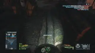 WTF Mate?!?