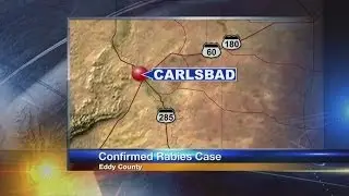 Rabies case results in euthanization