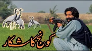 Crane Hunting|Koonj Ka Shekar|کونج کا شکار 2023 😱😱😱