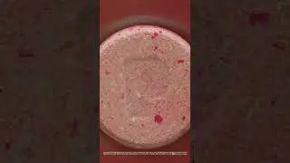 Plix   Shehnaaz Gill   ACV Film   06 Sec Revised   9x16