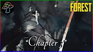 Chapter III - Friend or Foe  | The Forest