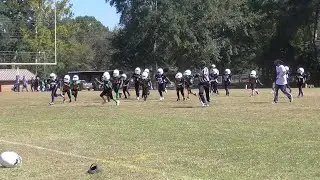 LB highlights