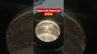 Fungus in my Camera lens 🤯😲🥺 Sad #Shorts #camera #Lens #Canon