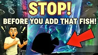 Step-by-Step Guide: 