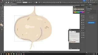 2025-11-28 | Drawing J&iacute;cama in Adobe Illustrator | Simple Vector Study