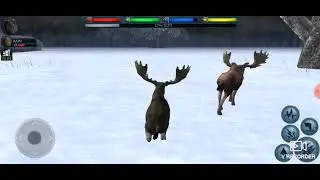 Furious Moose vs Arctic wolf Boss - Ultimate Arctic Simulator