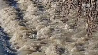 Top News - Lumenjt&euml; Seman dhe Shkumbin dalin nga shtrati, preken rreth 20 banesa
