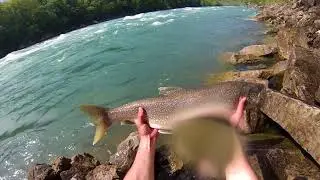 Memorial Weekend Lake Trout