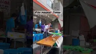 Inside a Japan fish market, cutting a big fish #japan #japanfishing #japanfishmarket