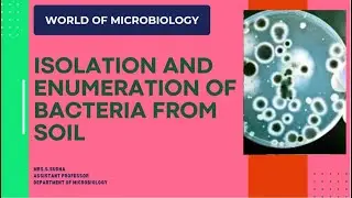 ISOLATION AND ENUMERATION OF BACTERIA FROM SOIL / MICROBIOLOGY  PRACTICAL