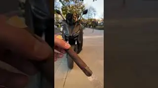 Smoke break 🌬️💨 #2023 #asmr #cigar #cigars #cigarsdaily #trending #viral #viralvideo