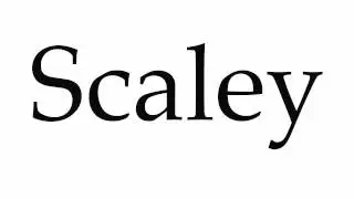 How to Pronounce Scaley
