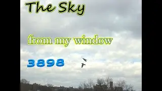 Timelapse North view from window (24hrs) queens NY USA 01-07-2026