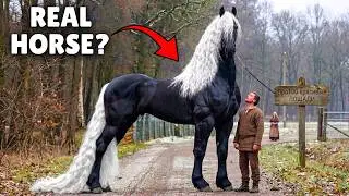 15 GIANT Horses So BIG and STRONG They Don't Look Real ☠️🐎