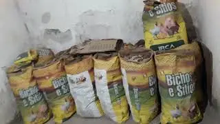 @GALINHAS GLC SÃO MUITO SÓCIAS. 