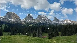 Toggenburg (Alt St. Johann, Alp Sellematt) Schweiz/Switzerland