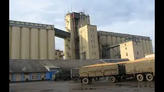 Grain elevator, acceptance of lentils. Grain exports from Russia