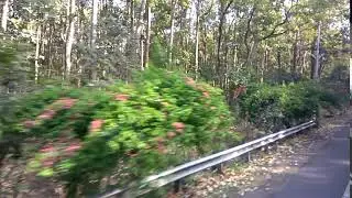 Dehradun to Pantwari