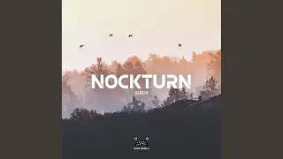 Birds (Original Mix)
