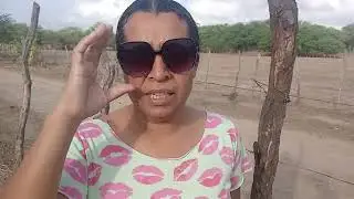 Dando racao balanciada pra minha vaca grauna