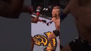 Conor McGregor: Ask These Nuts #viralshorts #history #khabib #boxing #UFC