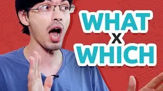 WHAT x WHICH | Qual a diferença?