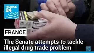 French Senate recommends creating a 