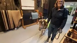 Therapie pony Julio gaat shoppen bij kentucky horse shop 