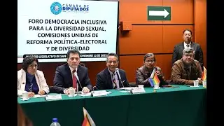 EN VIVO / Foro: Democracia Inclusiva para la Diversidad Sexual