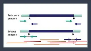 IGV Tutorial Part 5: Structural Variants