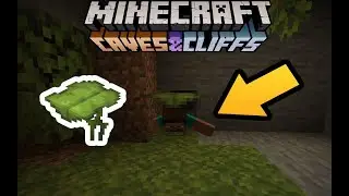 Another dripleaf usage - Minecraft 1.17, snapshot 21w05b