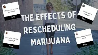 🌿 Unlocking the Truth: The Impact of Rescheduling Marijuana with Cannabis Attorney Amanda Connor! 🌿