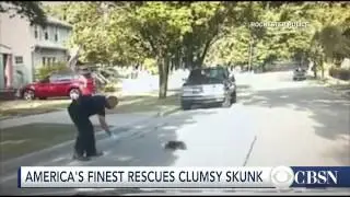 Cop frees skunk stuck in yogurt cup