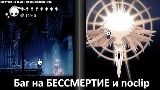 Баг на бессмертие и noclip в Hollow Knight (версия 1.5.78.11833)