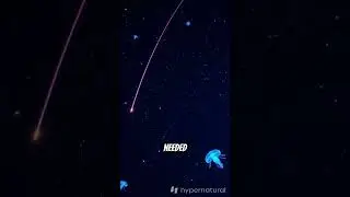 Spiders Use Electricity to Fly 😳