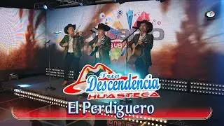 Trío Descendencia Huasteca - El Perdiguero