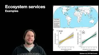 Insect Biodiversity and Ecosystem Services