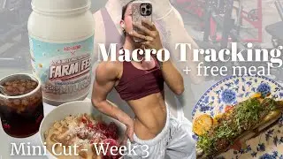 Full Day Of Eating | Mini Cut Week 3