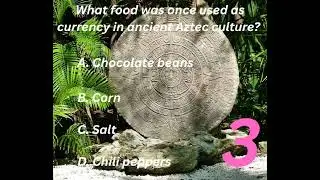 What food was once used as currency in ancient Aztec culture? #FunFact #History #Aztecs #shorts #yt 