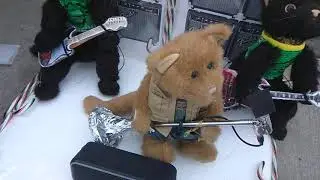 Christmas Animal Band - Tom Petty Christmas Time