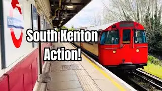 Bakerloo Line 1972 Stock &ndash; Arrivals & Departures at South Kenton Station